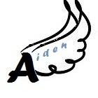 Team Aiden